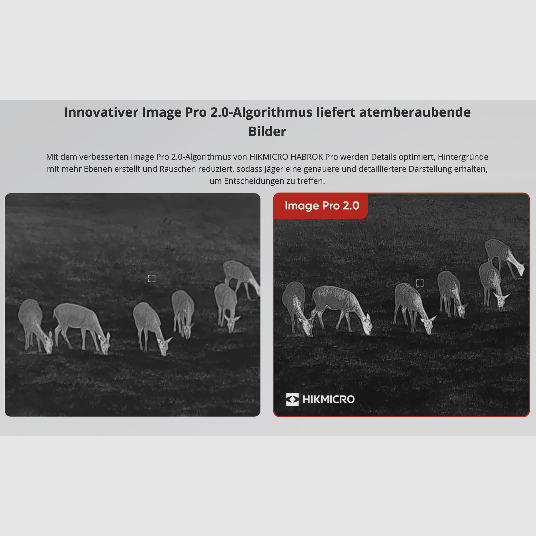 Hikmicro Binocular Habrok Pro HQ50LN cámara digital de visión nocturna térmica 1920 × 1080 OLED