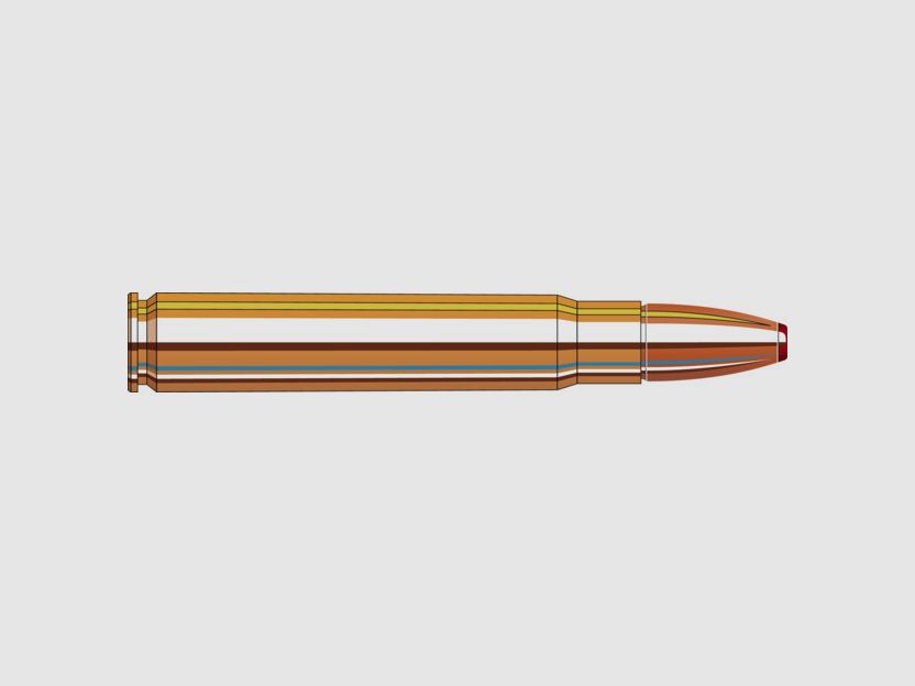 Hornady International 9,3x62 250GR ECX 20 Patronen