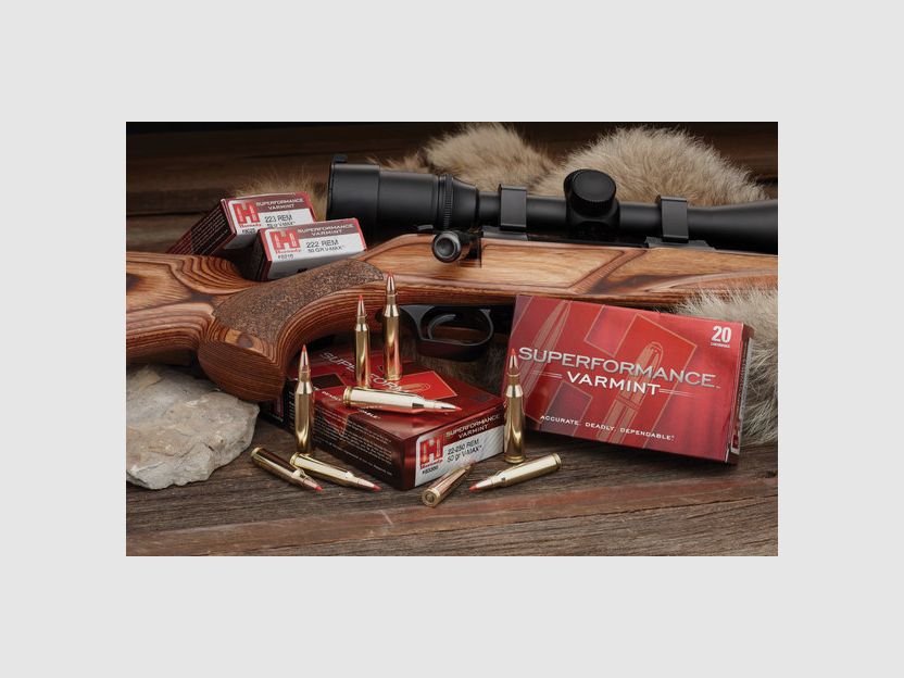 Munitions HORNADY SUPERFORMANCE SST calibre 7×64 162Gr, image 3 sur 5