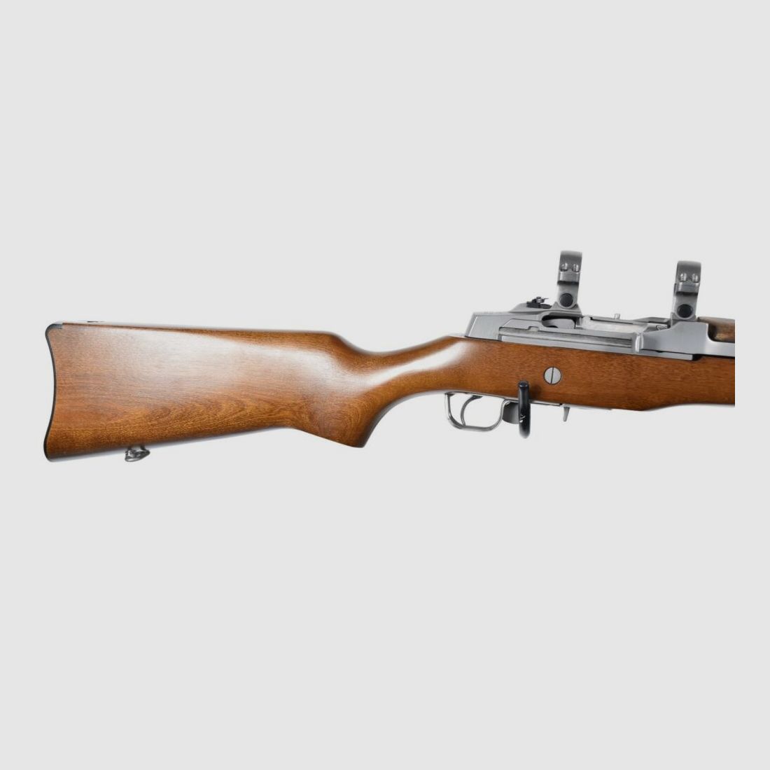 Ruger Mini 14
