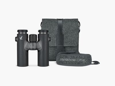 Swarovski CL Companion 8x30 B anthracite + NL Northern Lights ensemble d'accessoires