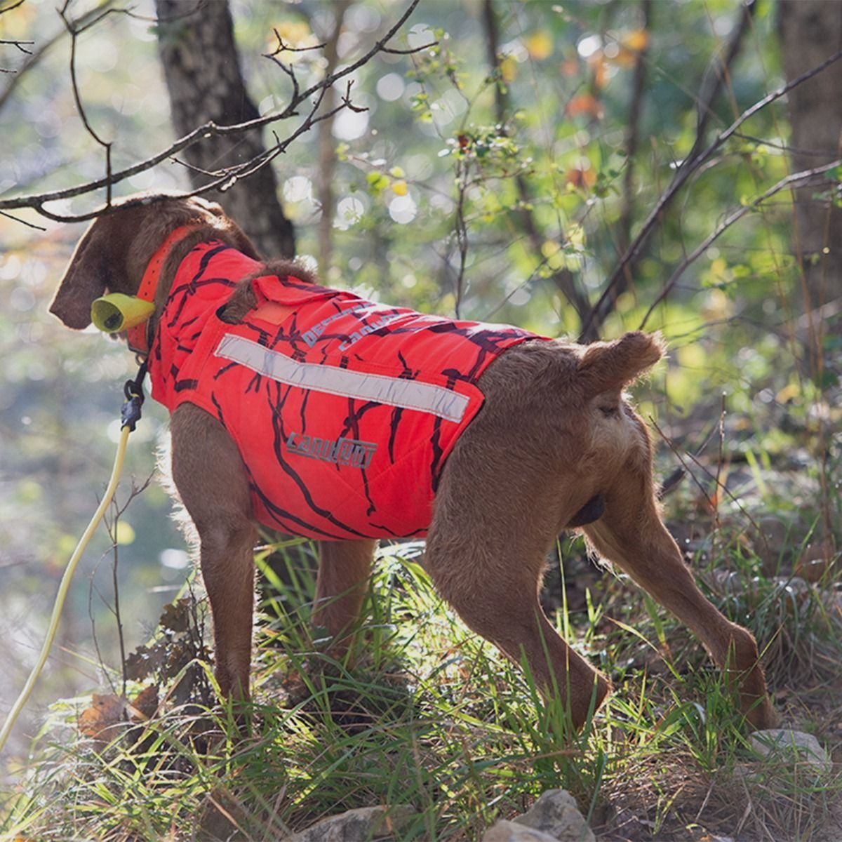 Schutzweste für Jagdhunde Canihunt Protect Defender 2.0, Bild 10 von 18