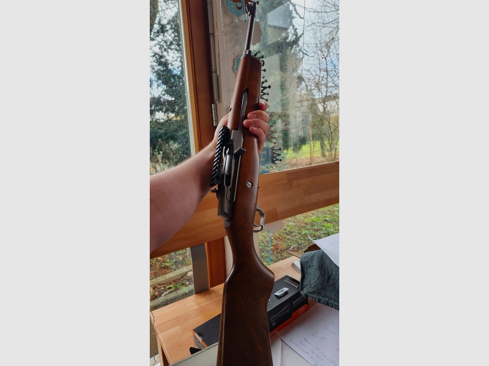 Ruger Mini 14 223