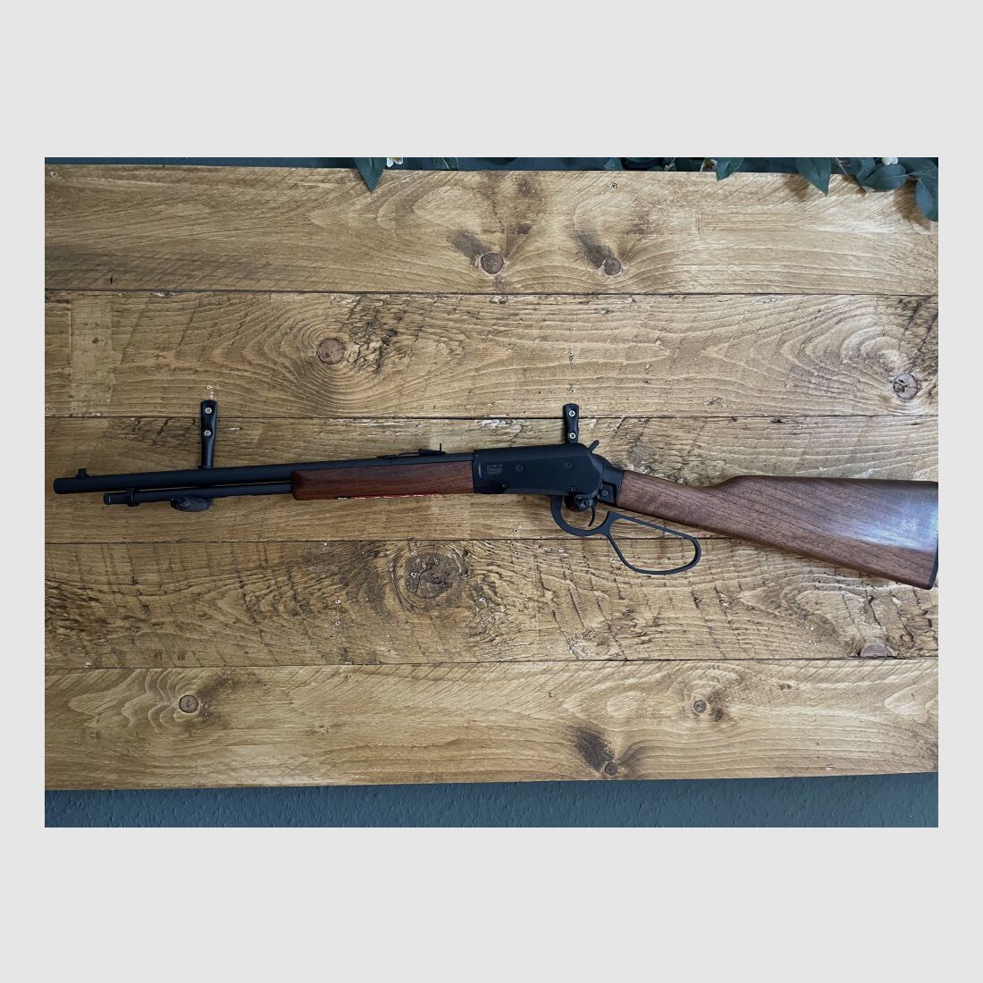 Savage Revel .22lr