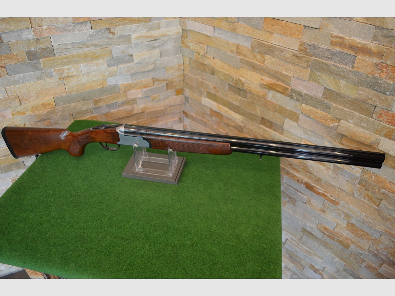 Rottweil 580 Jagd