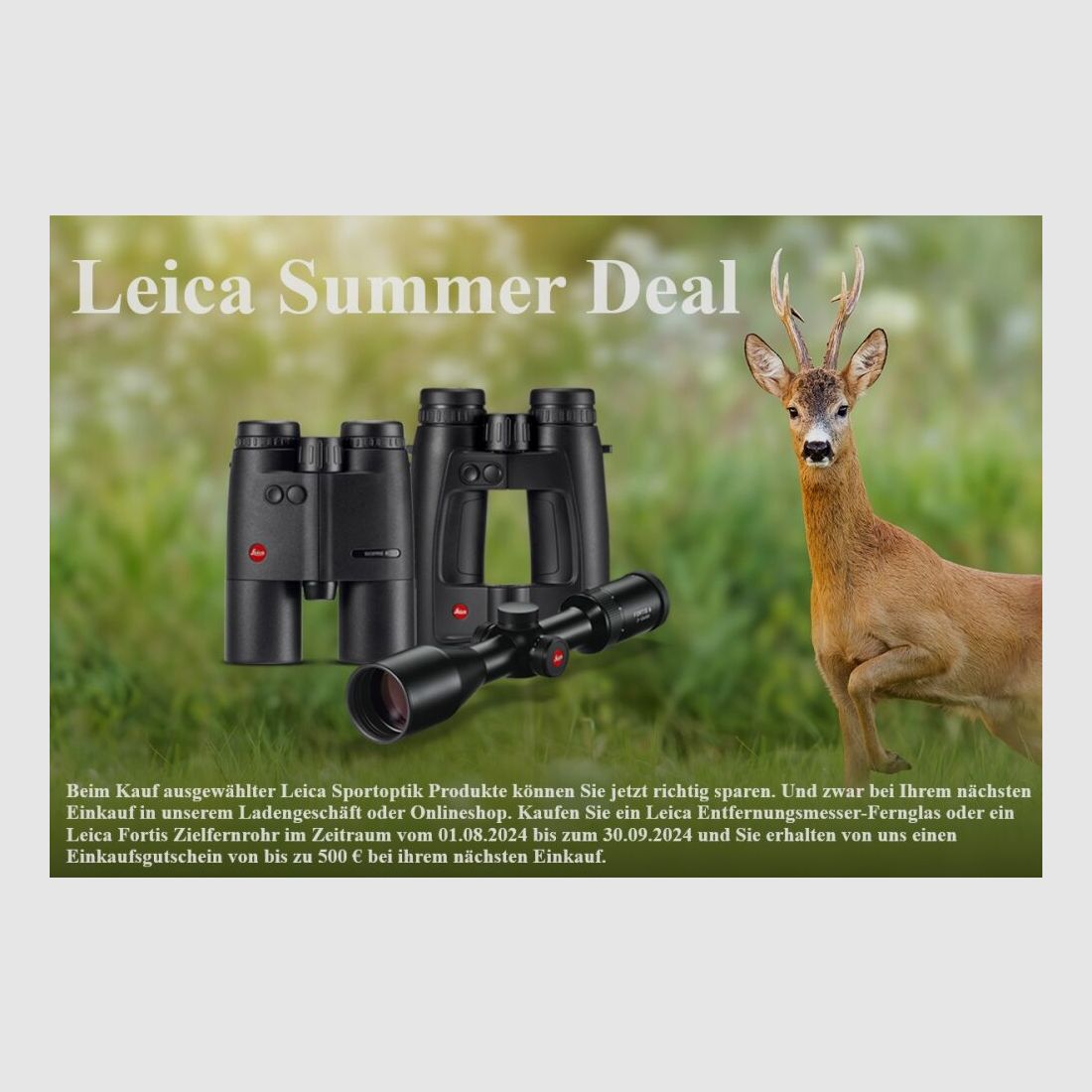 Leica Fortis 6 2-12x50 i, mit Schiene