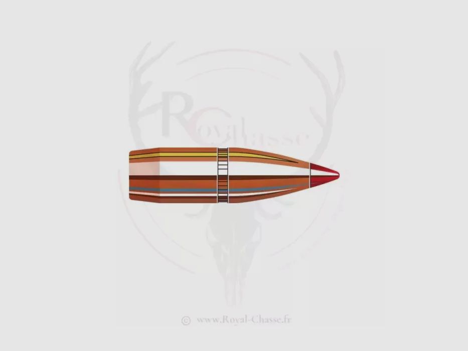 100 ogives Cal.270 D.277 110Grs V-MAX CANNELEE HORNADY