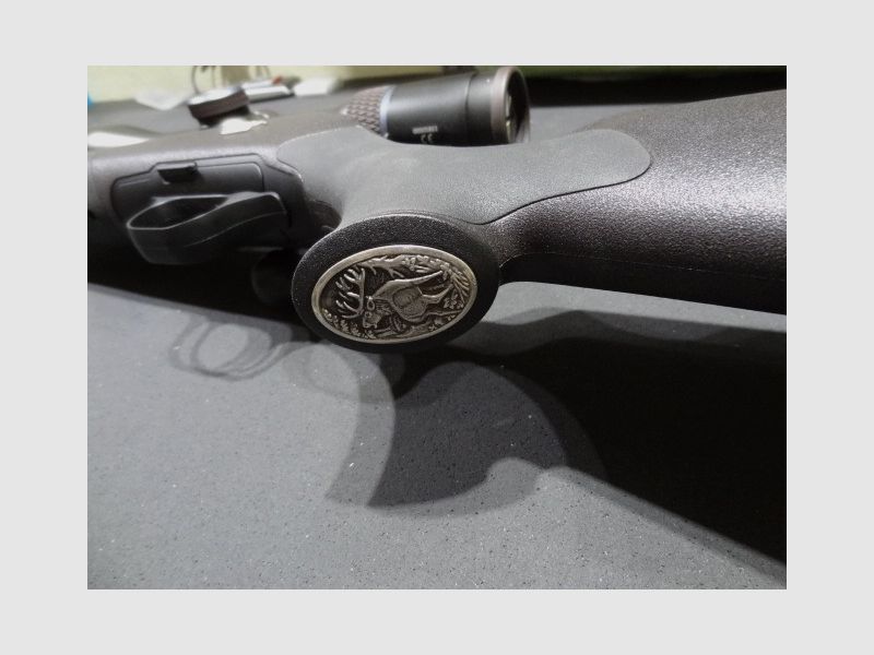 Blaser R8 Professional incl. Infinity 2,8-20x50 ZFR