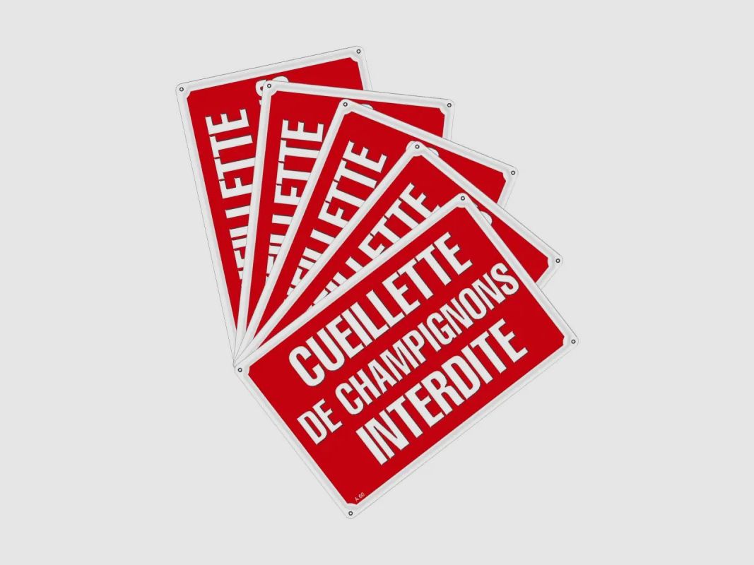 Schild Pilzesammeln verboten Alu 30 × 20 cm – Set von 5, Bild 2 von 9