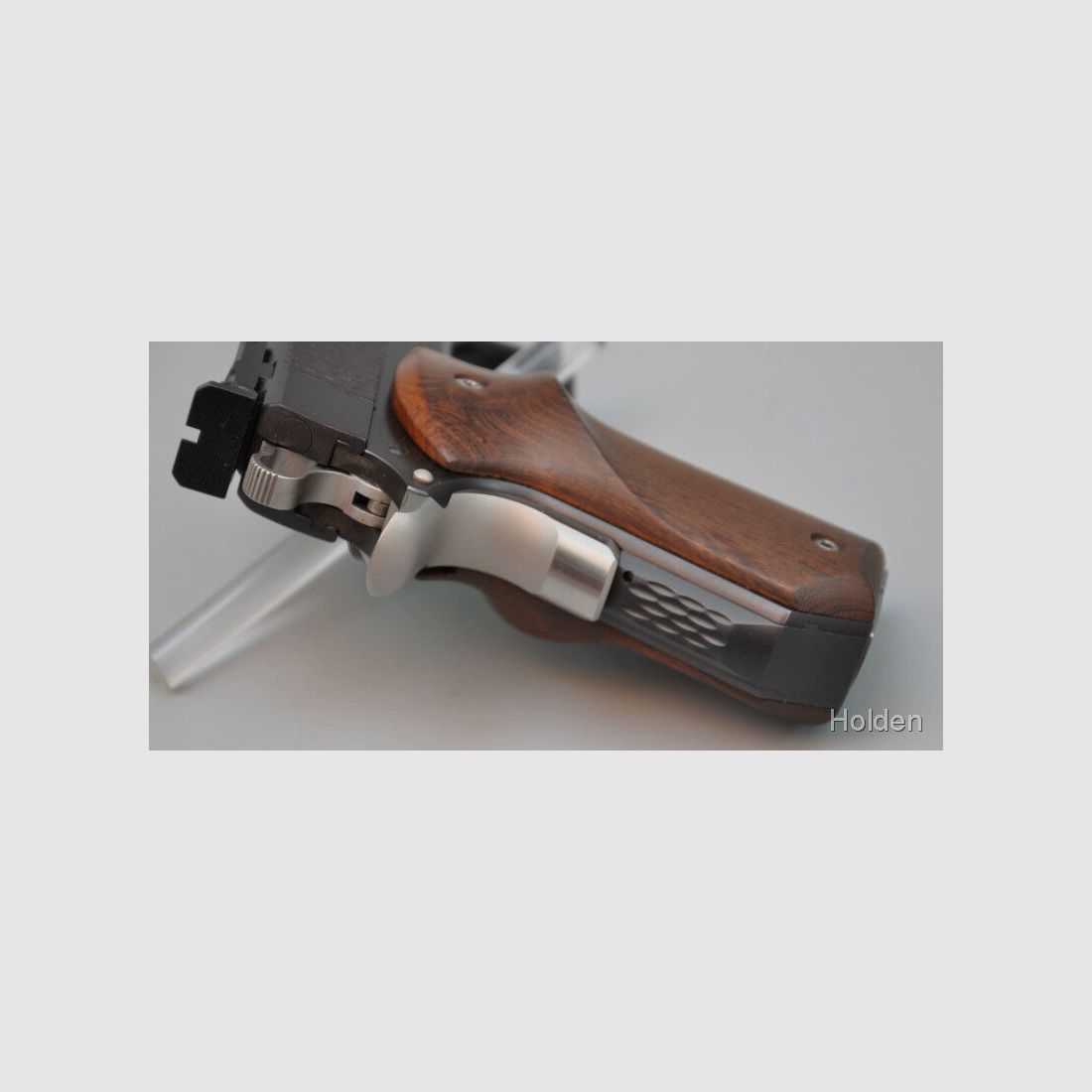 Holden Custom Guns 1911 10mmAuto