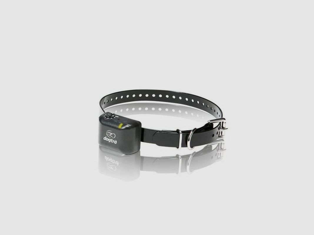 Collier anti-aboiement professionnel Dogtra YS 300, image 2 sur 2