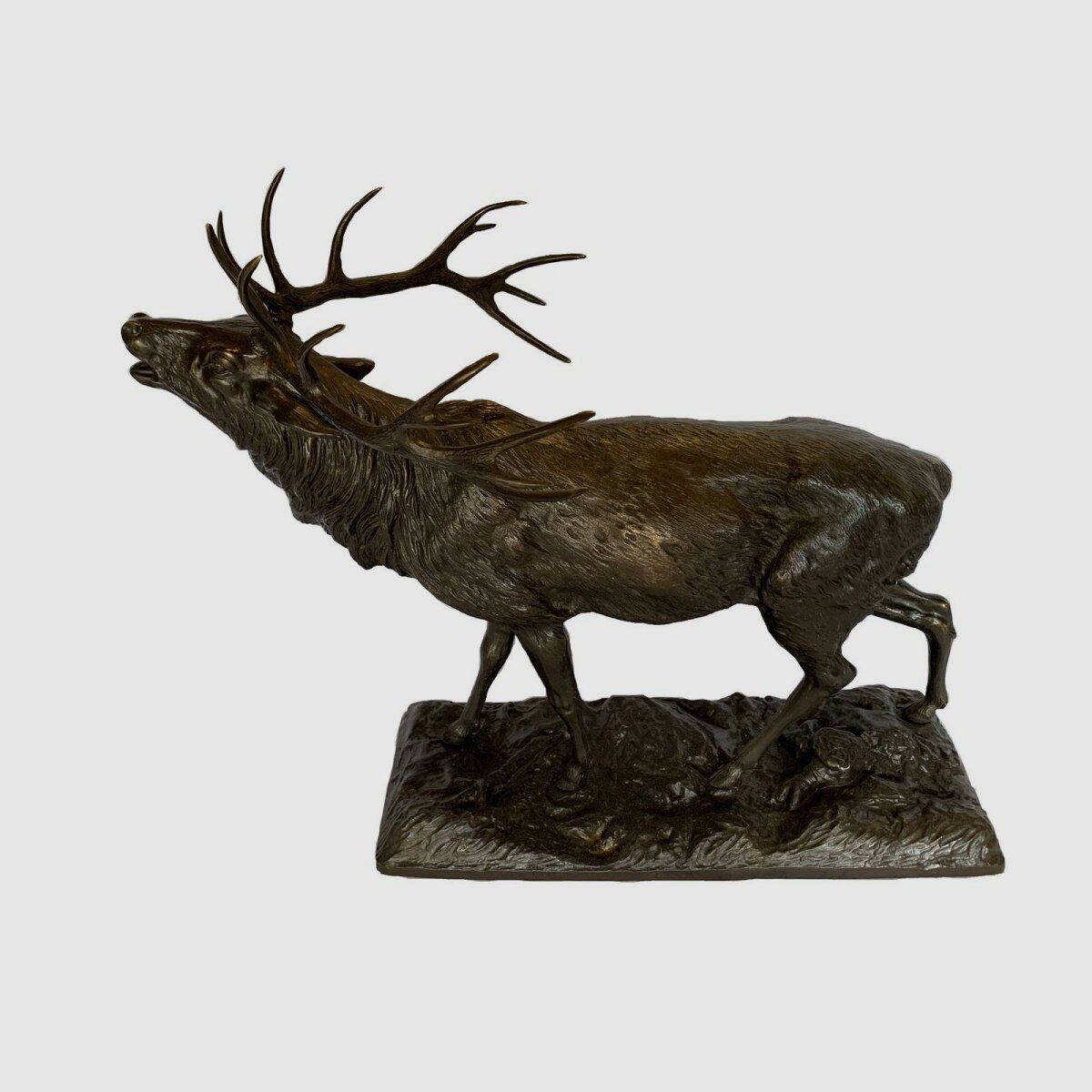 Lovergreen growing bronze statue motif roaring stag maxi model