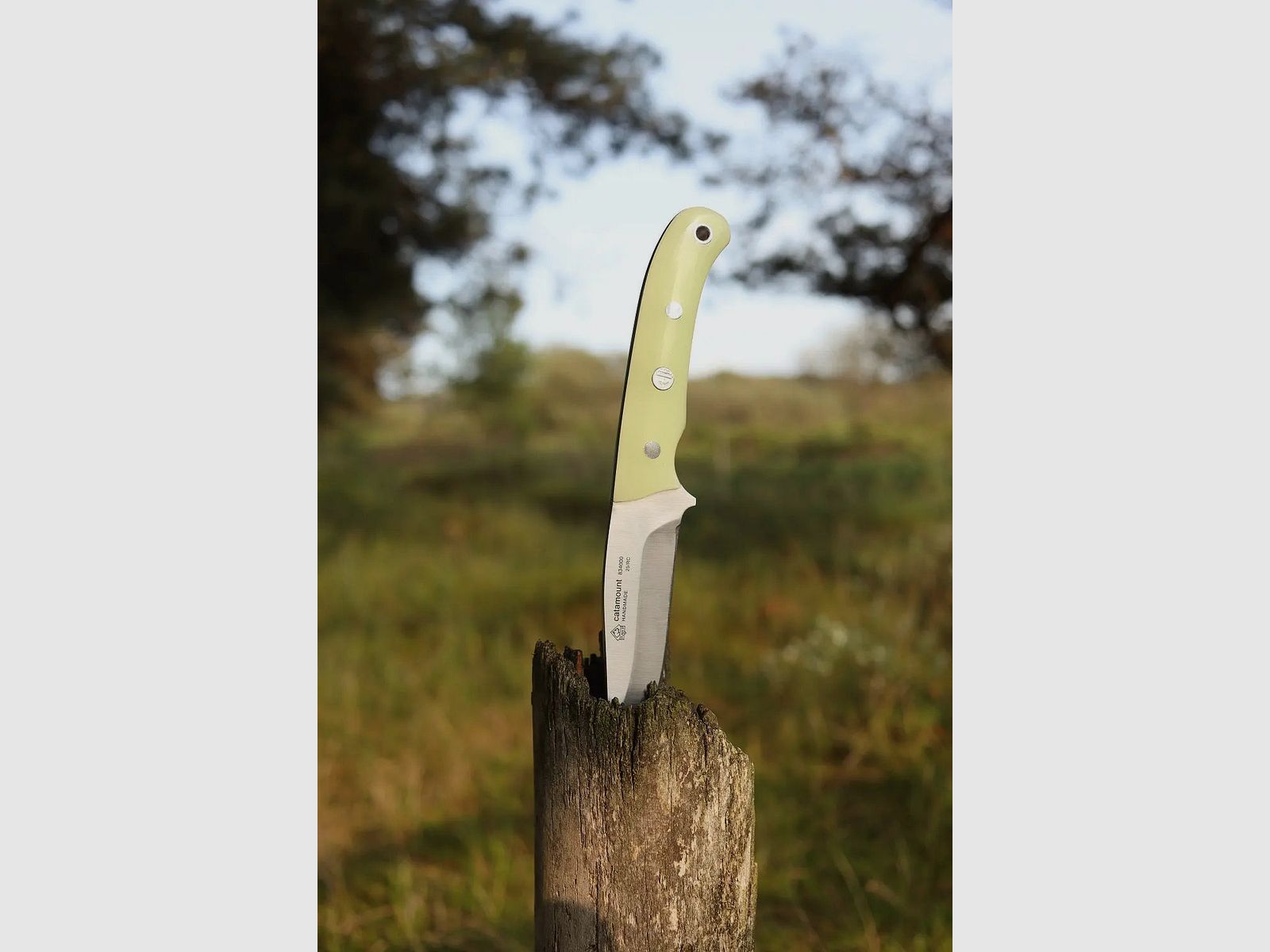 PUMA IP catamount nachleuchtend