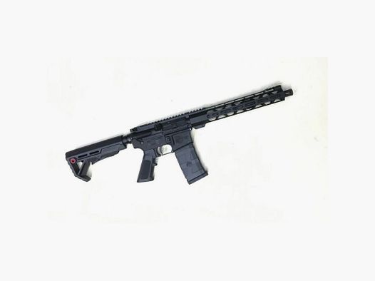 DIAMONDBACK RIFLE DB10 .308 Win
