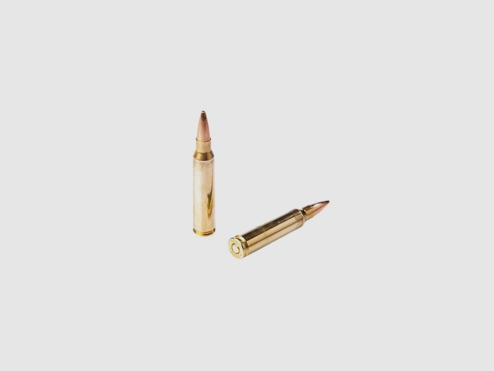 .223 Rem Fiocchi FMJ HP 50 gr, Bild 2 von 2