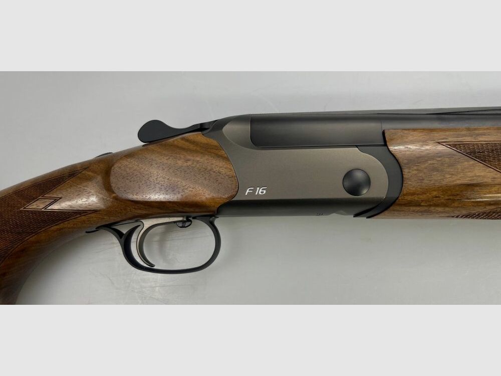 BLASER F16 Gioco
