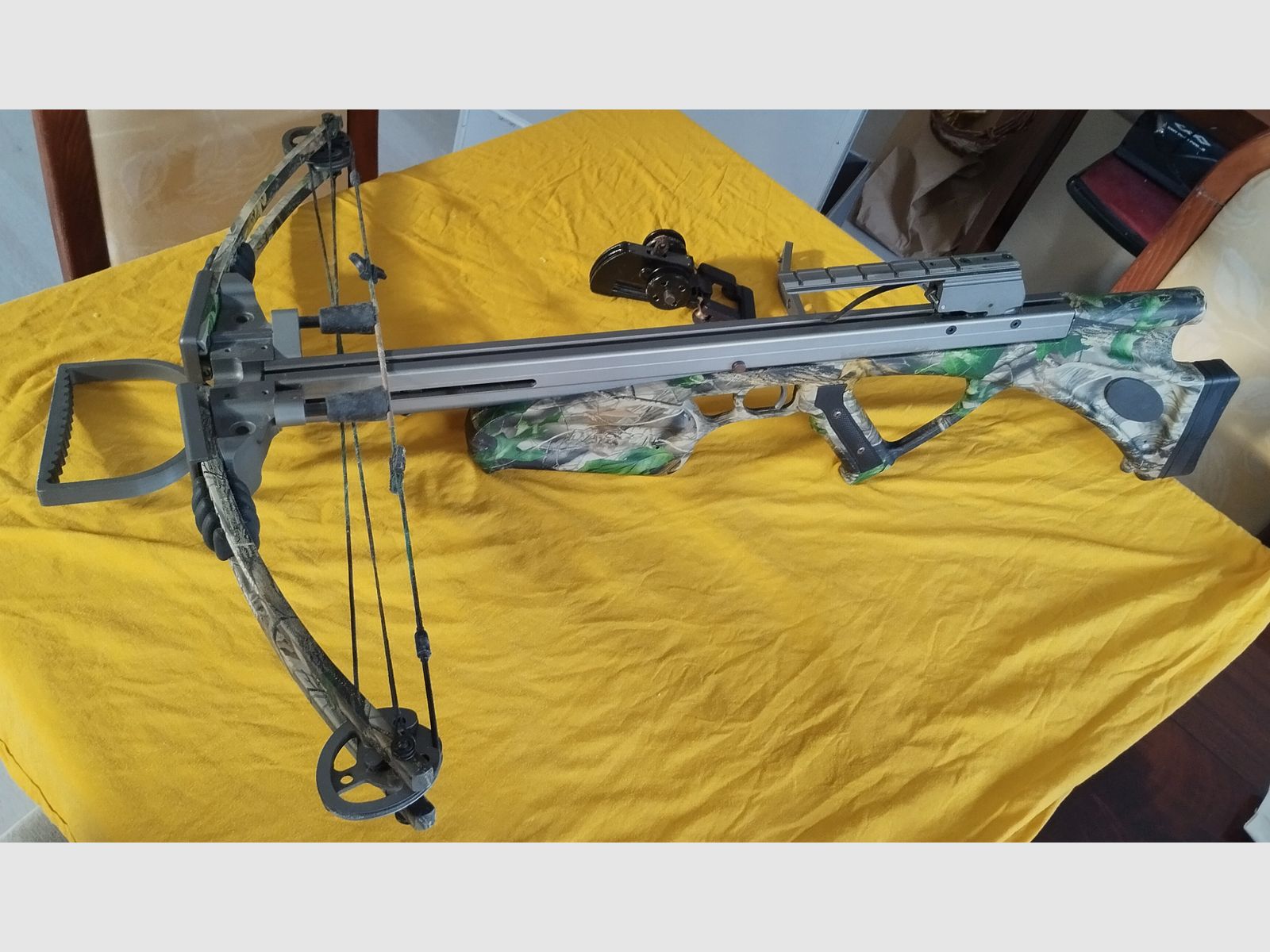 Darton Lightning 2010 Crossbow