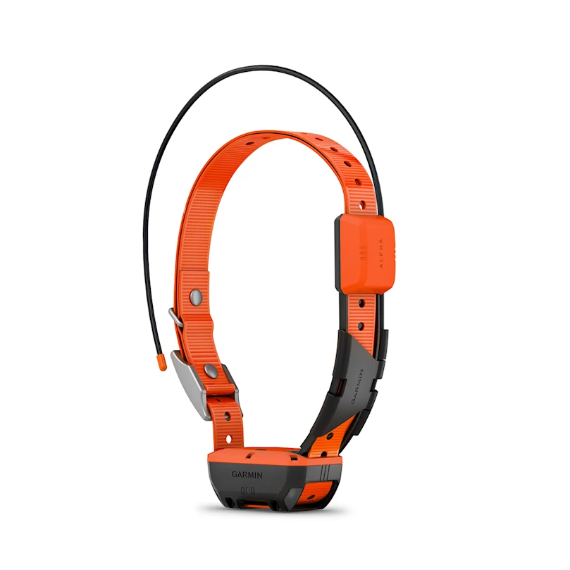 GPS-Halsband Alpha T 20 F, Bild 1 von 3