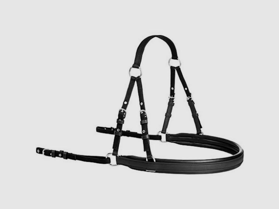 ENGANCHE LEXHIS BONN BIOTHANE HALSBAND, Bild 4 von 5