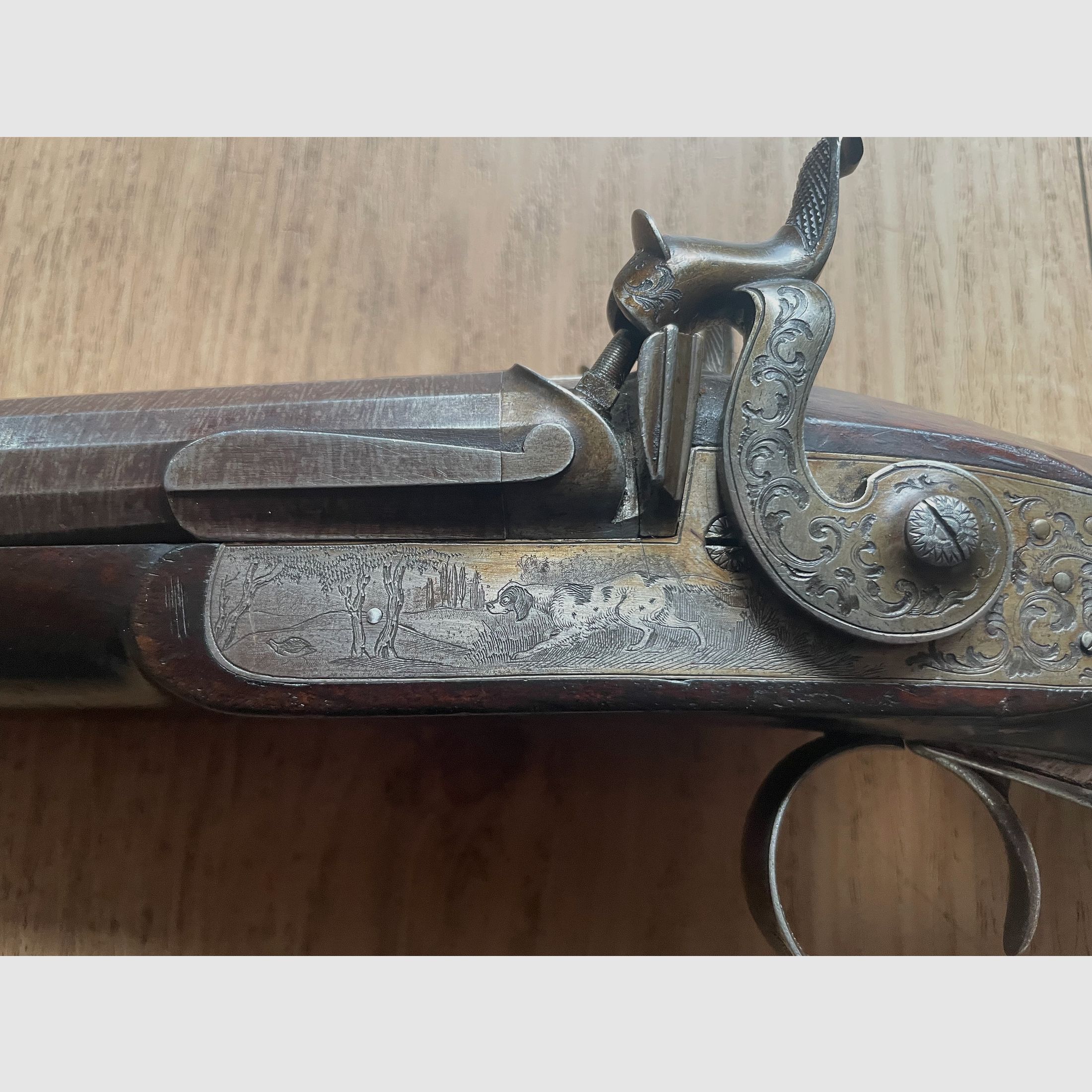 Beau fusil à chargement par l'avant