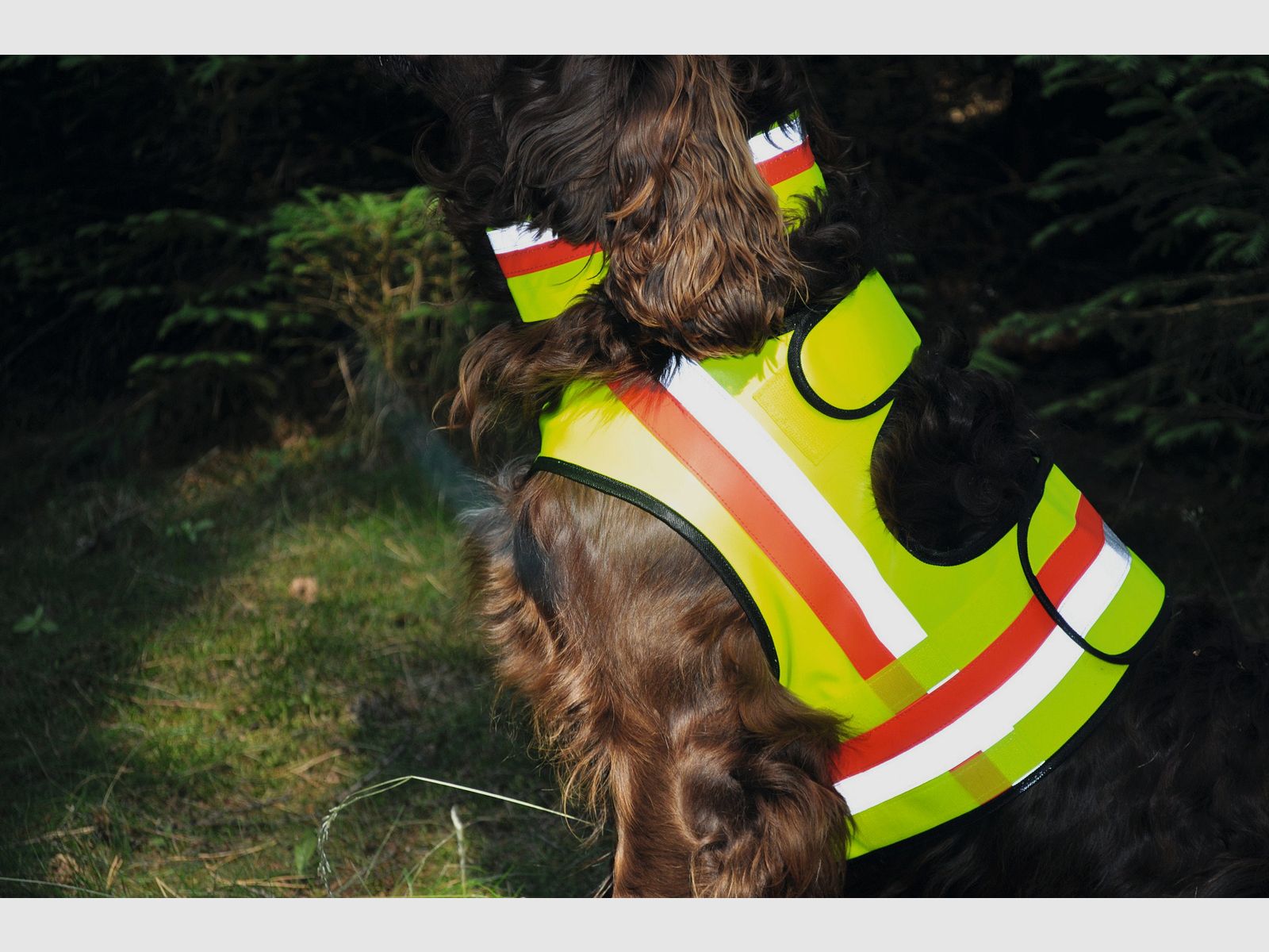 Nordforest Hunting Hundewarnweste