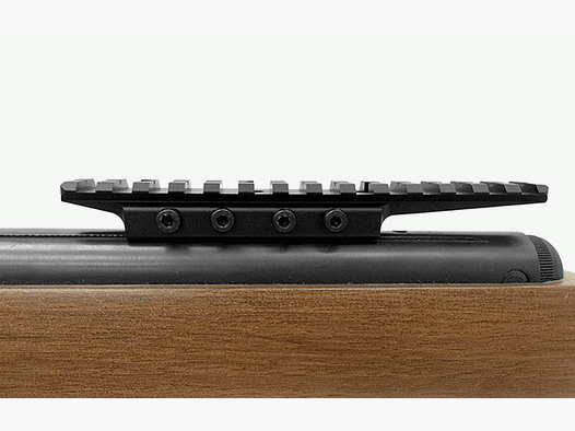 Rail Schwalbenschwanz UTG de 9-11 mm sur Weaver