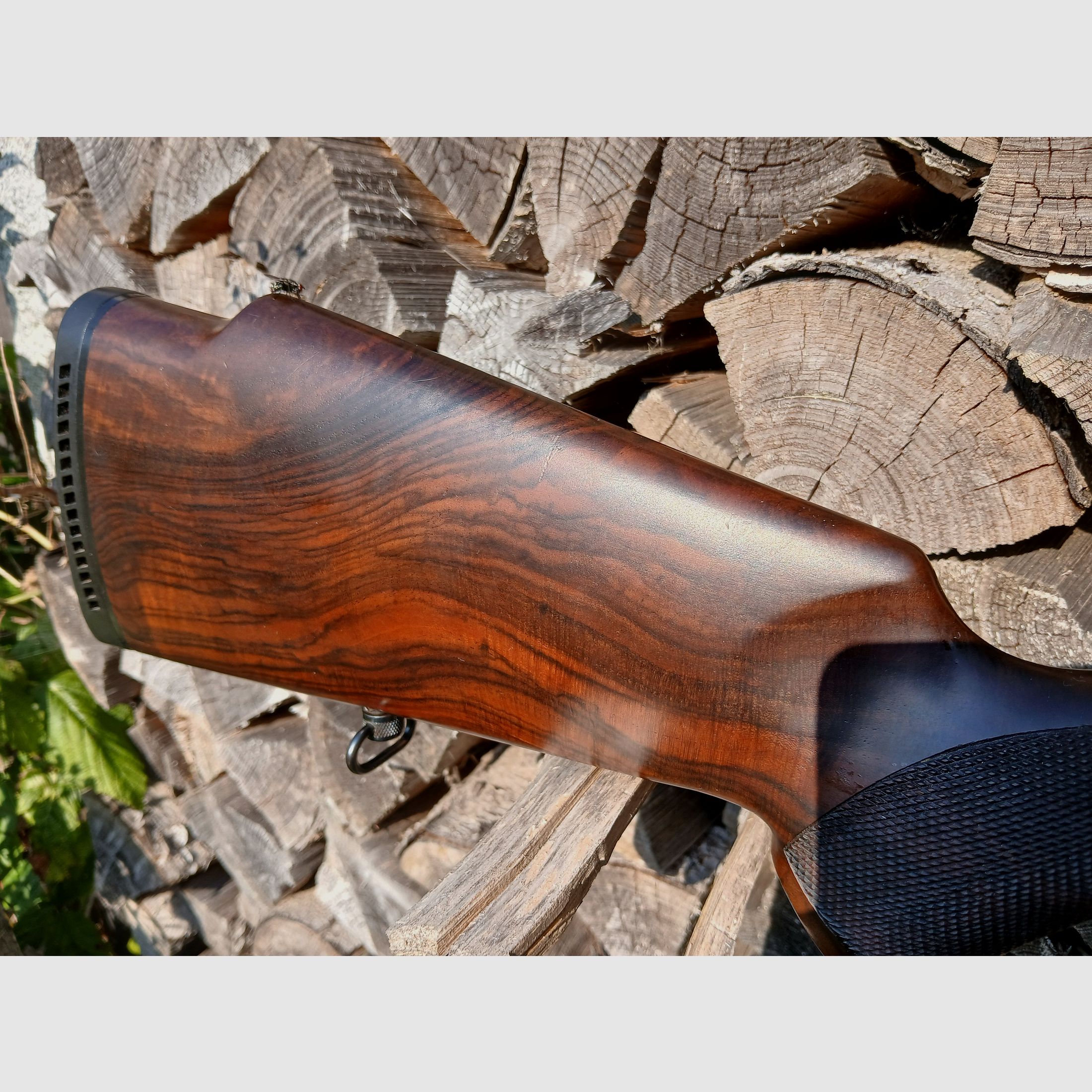 Sauer 200 im Kaliber  .308 Win