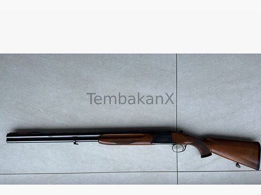 Winchester sin 12/70