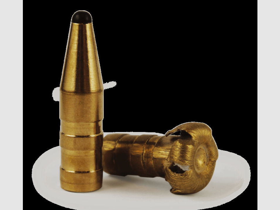 Fox Bullets Geschosse 45grs. à50