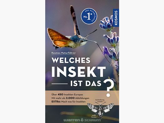 Cosmos Quel insecte est-ce ? Bellmann