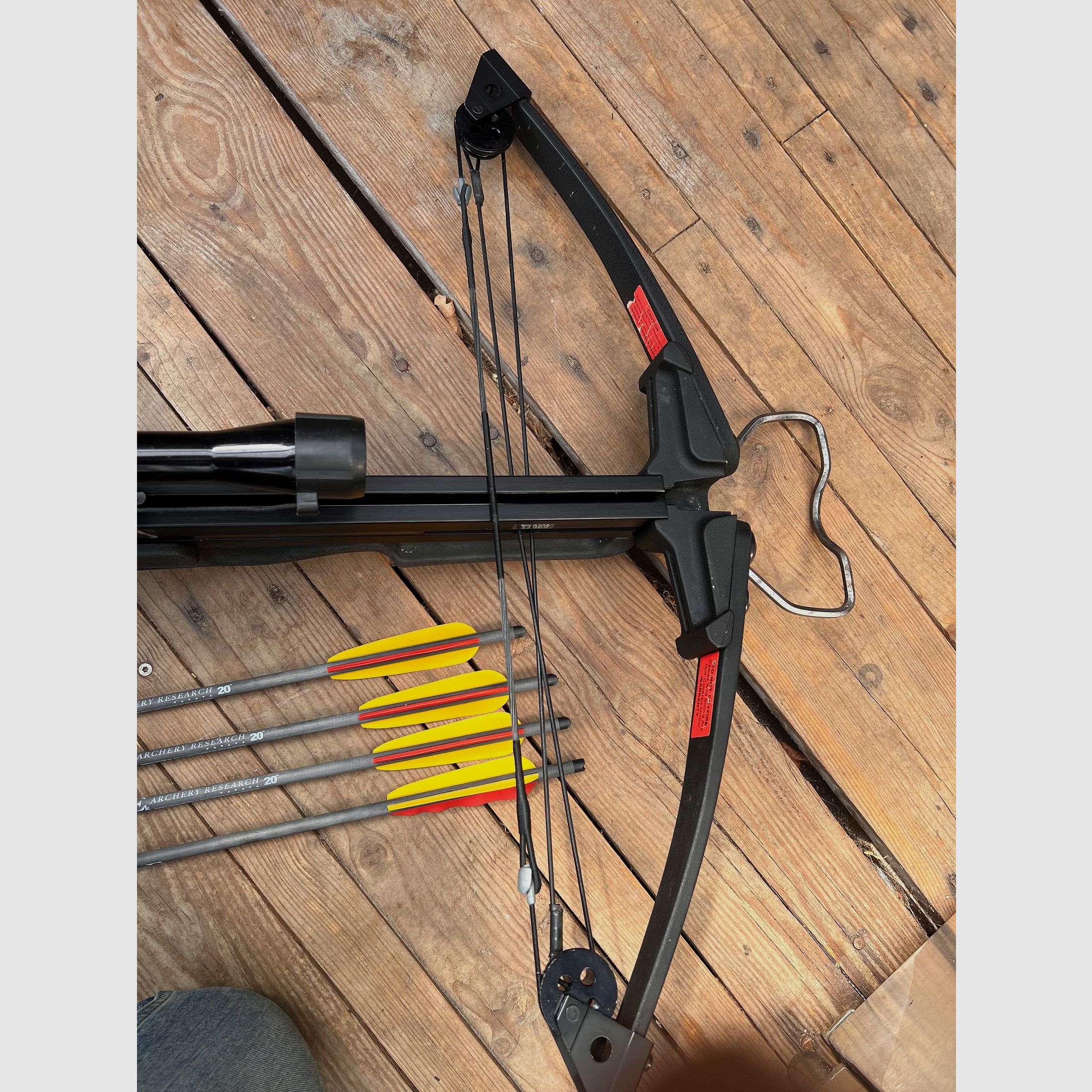 Crossbow Horton