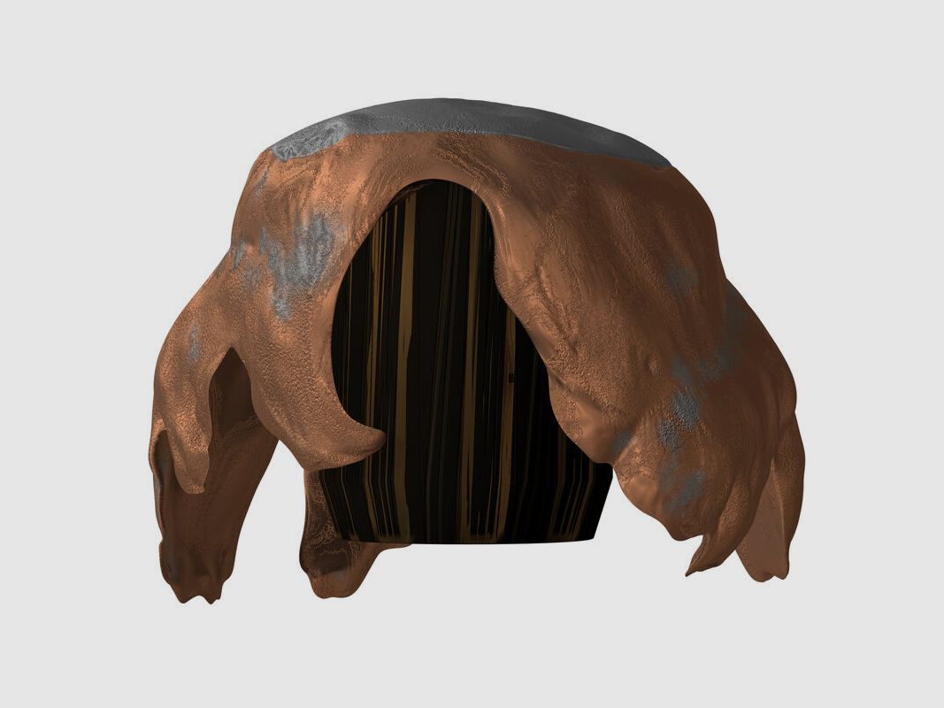 Winchester Ballistic Silvertip 55grs - 20 Stk.