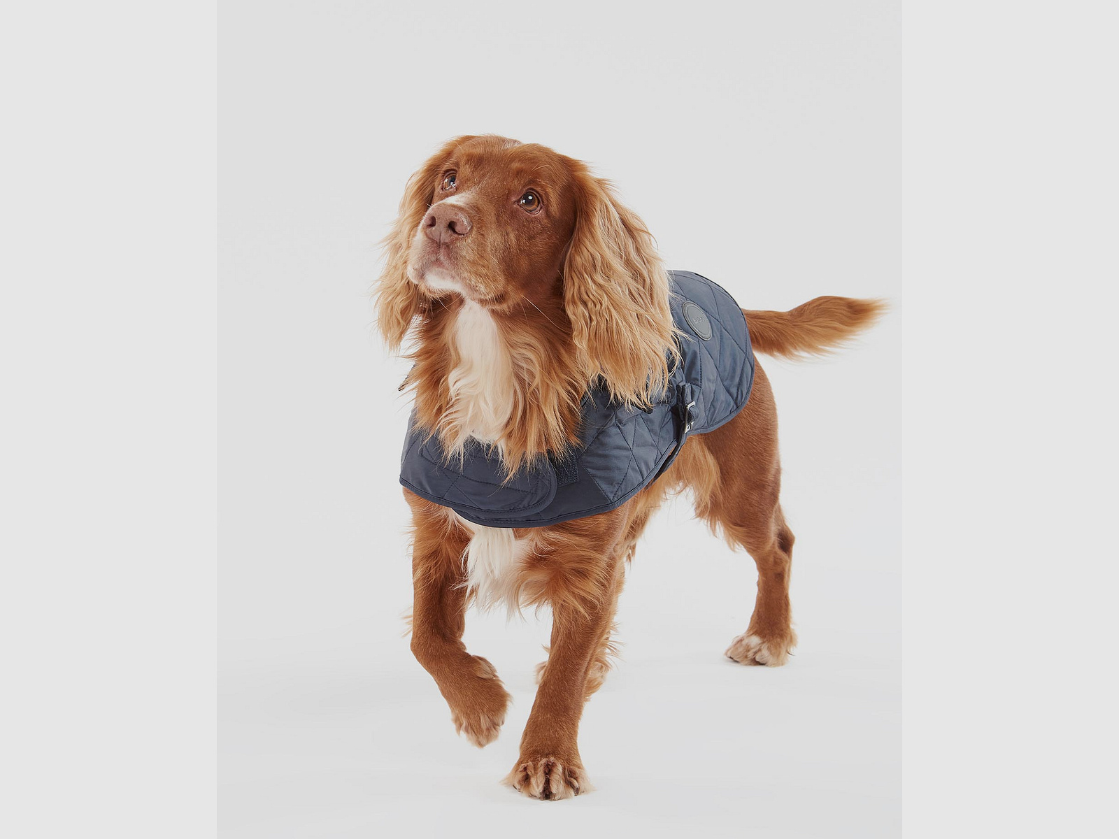 Abrigo para perros Barbour acolchado