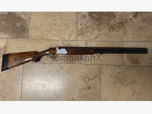 Sauer Beretta S56E	 12/70