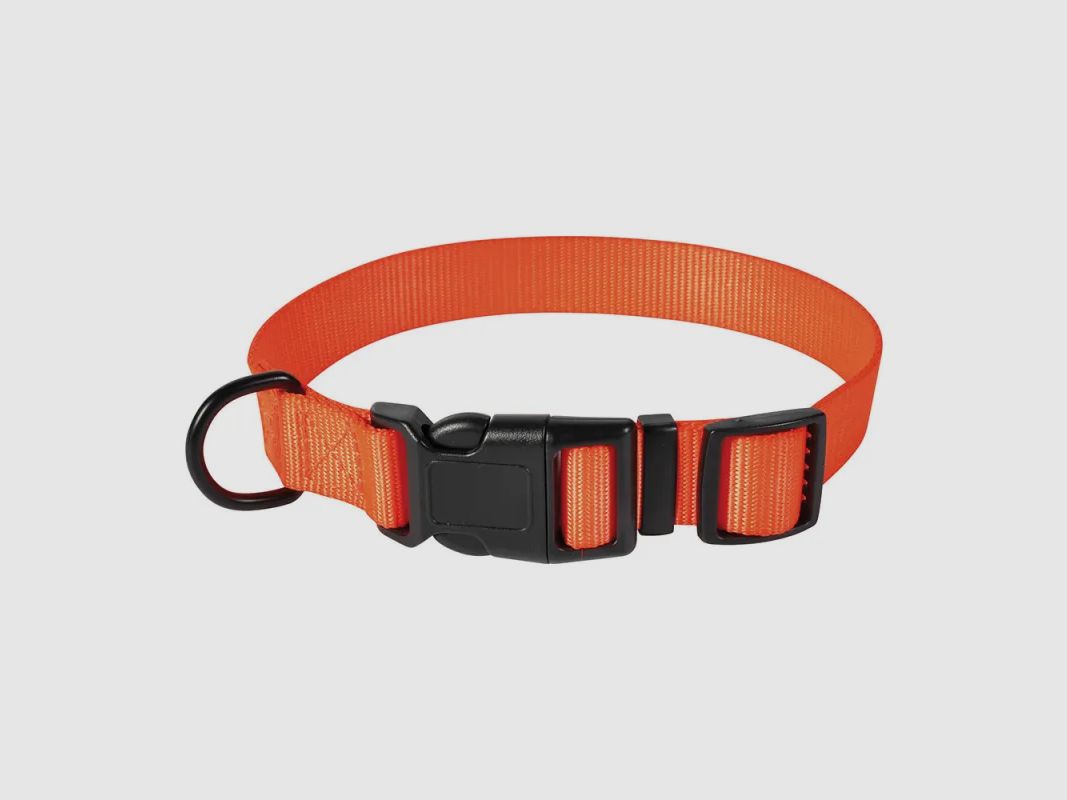 Collare in poliestere arancione regolabile 45 cm, immagine 2 di 7