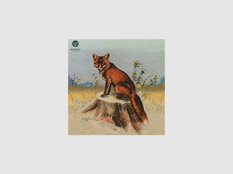 Cible de chasse
