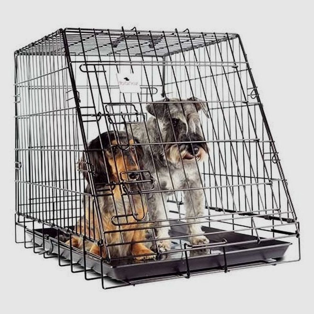 Klappbare Transportbox für Auto ARCEA, Bild 1 von 16