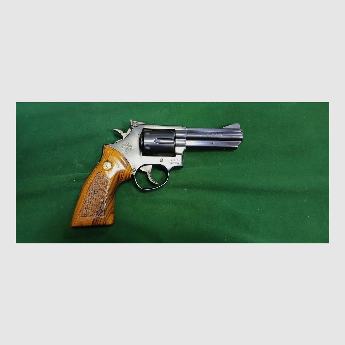 Taurus 669