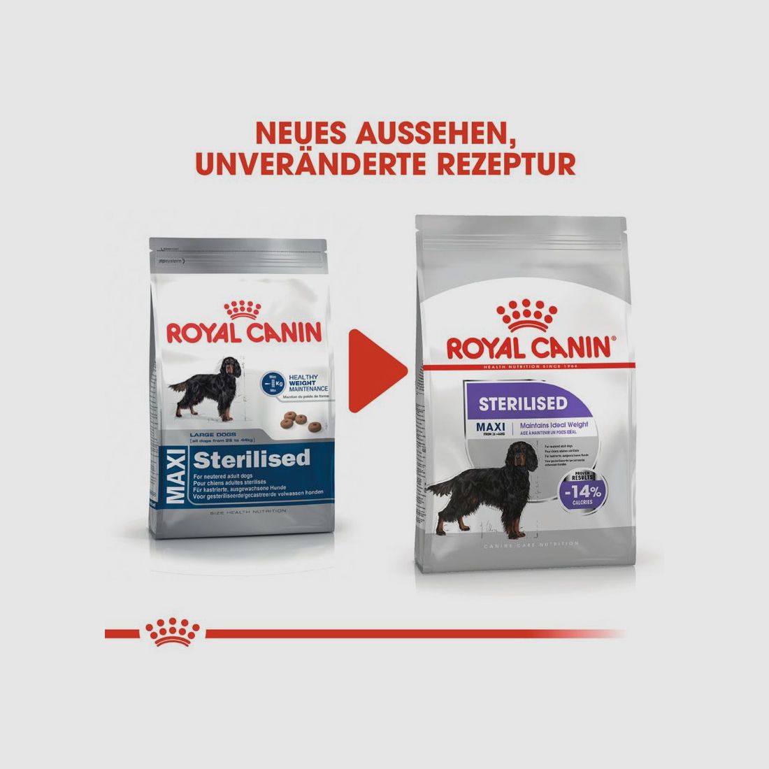 ROYAL CANIN Kastrierte Große Hunde Trockenfutter Sterilised Maxi