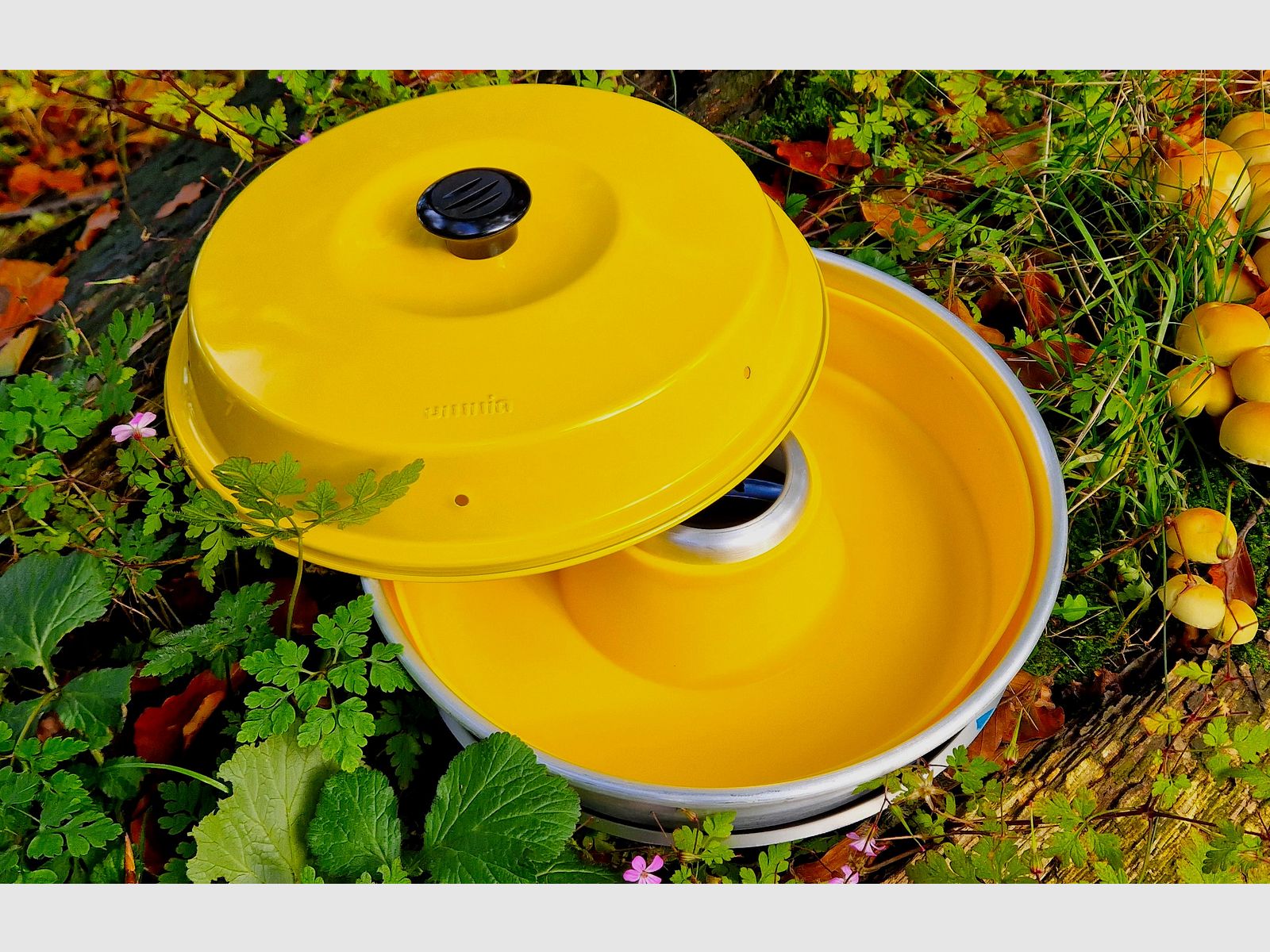 Silicone mold, blue, image 8 of 17