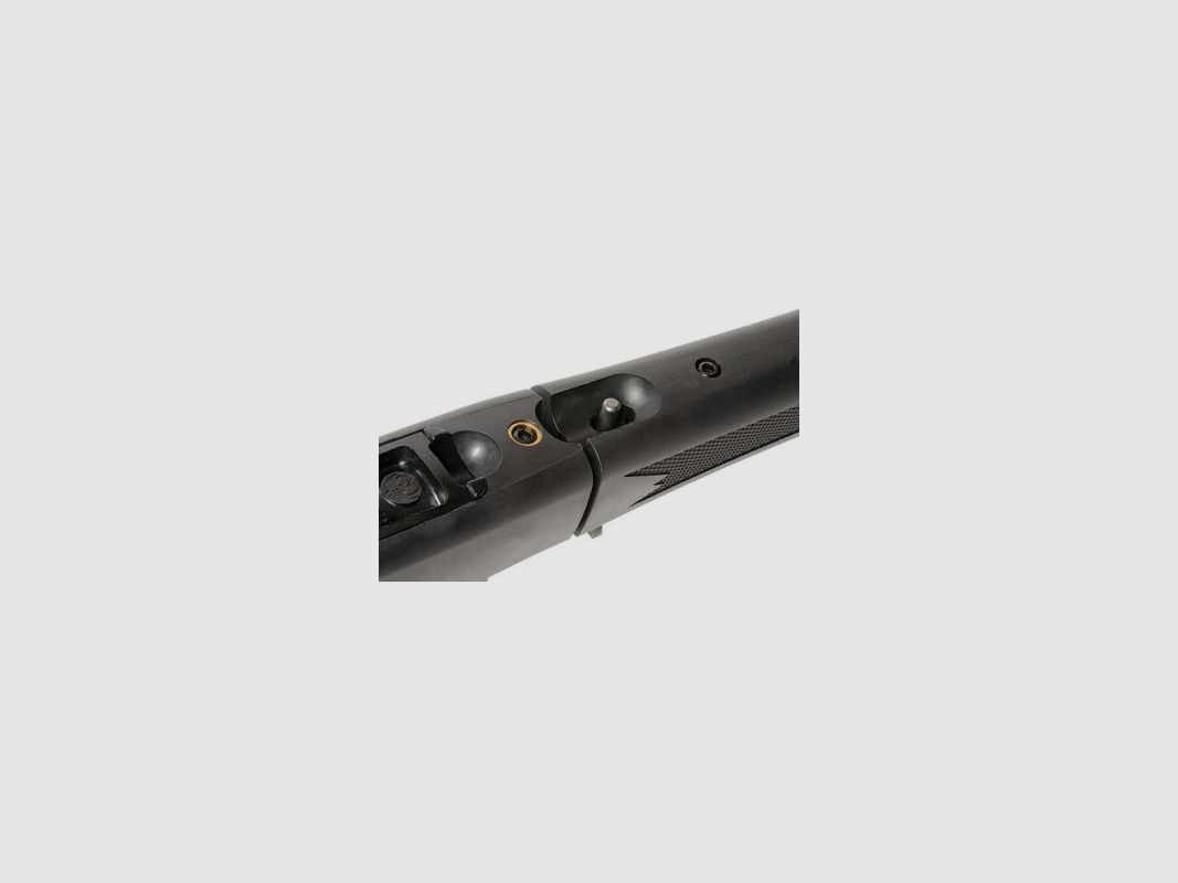 RUGER 10/22 Takedown c/m, image 9 sur 12