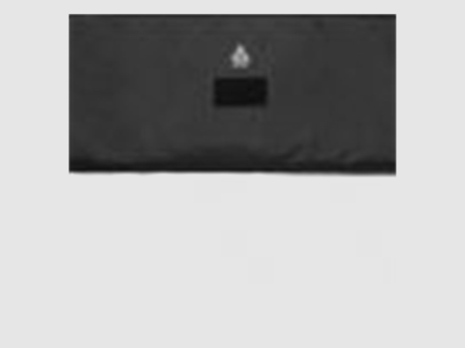 UTG 32" MC Gun Case