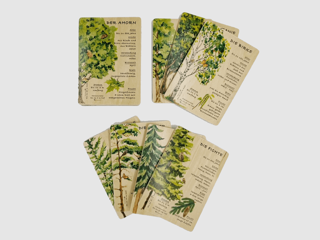 Carte di Legno Carte Didattiche Set Foresta (12 Carte)