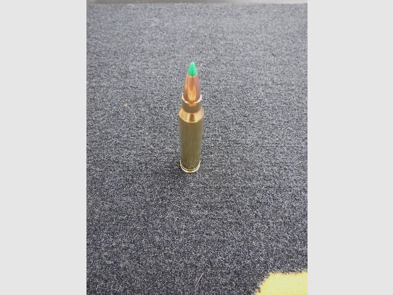 Sologne Nosler BT 300 Win Mag 180gr, Bild 2 von 2