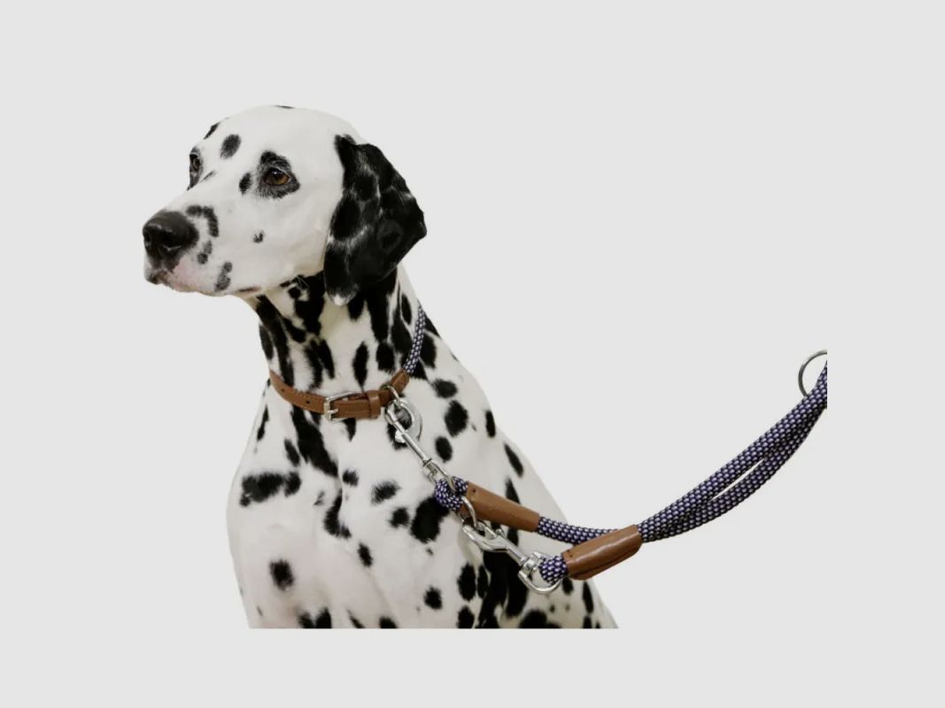 Hundehalsband aus Seil 45 - 65 cm, Bild 4 von 10