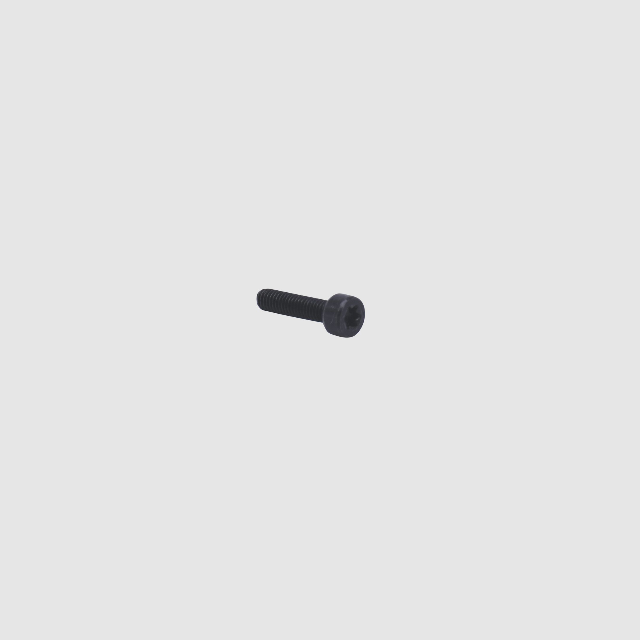 SIG SAUER X-Serie I tornillo cilíndrico para embudo de cargador M3x16-8.8