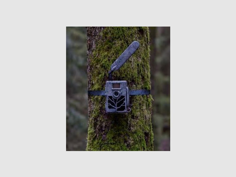 ZEISS Secacam 5 Wide-Angle Wildcamera met GSM functie, afbeelding 7 van 16