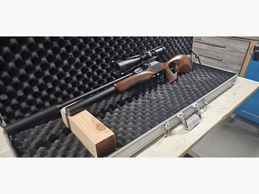 diana p1000 target hunter evo2