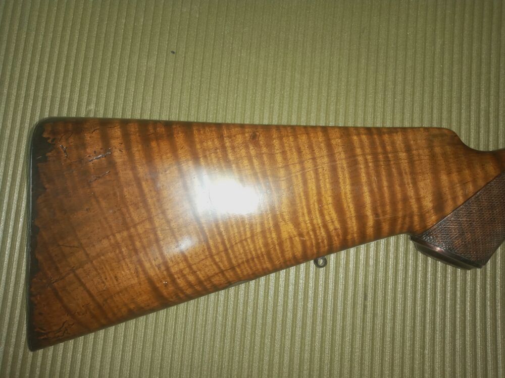 P. Webley & Son, Londres Cape - Escopeta