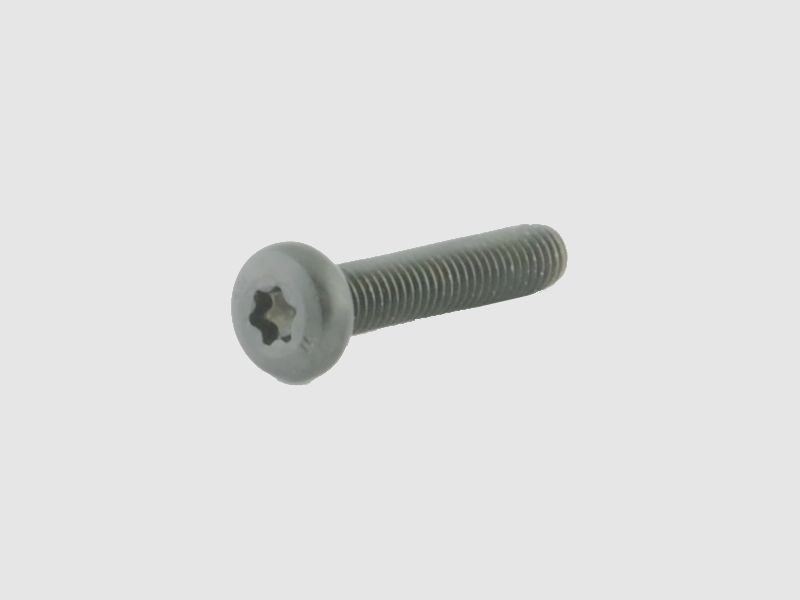 Spuhr Schrauben für Spannpratze M5x25 TX20 - 4 Stück